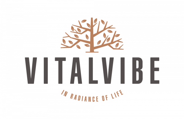 logotype-2018-color-vitalvibe-EN-PRINT-CMYK-protection-area-e1555502422565